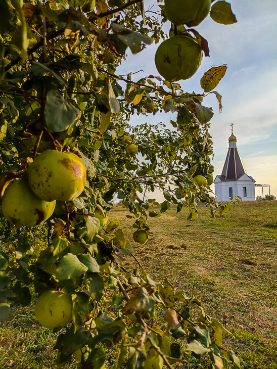 КАЗАЧИЙ ОСТРОВ, БРЮХОВЕЦКАЯ